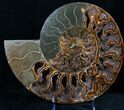 Split Ammonite Pair - Crystal Pockets #7580-2
